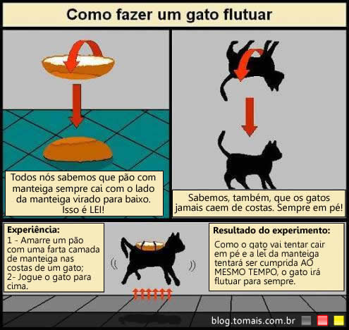 gato_flutuante
